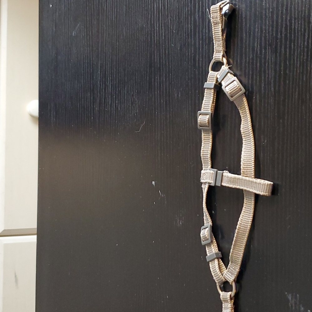 PUPPY HARNESS - Picture 4 of 4